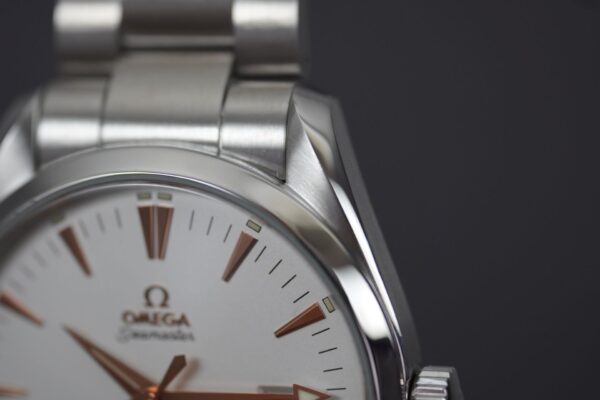 Omega Seamaster Aqua Terra 2502.34 – Image 10