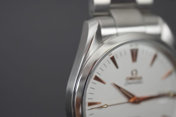 Omega Seamaster Aqua Terra 2502.34 – Image 11