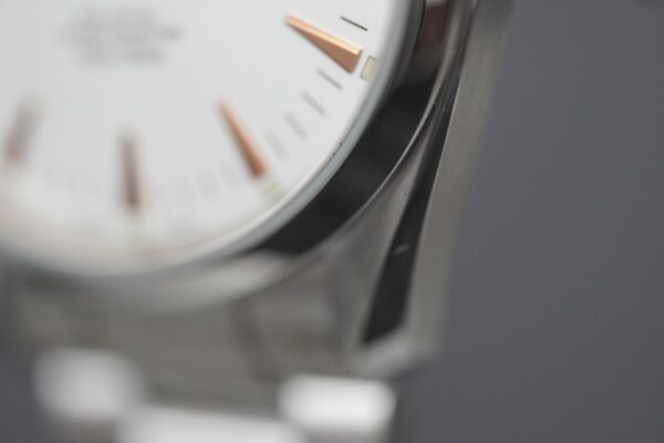 Omega Seamaster Aqua Terra 2502.34 – Image 13