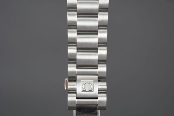 Omega Seamaster Aqua Terra 2502.34 – Image 8