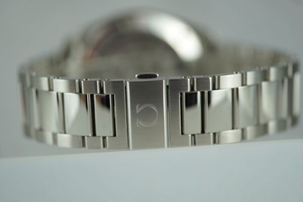 Omega Seamaster Aqua Terra 231.10.42.21.03.003 – Image 12