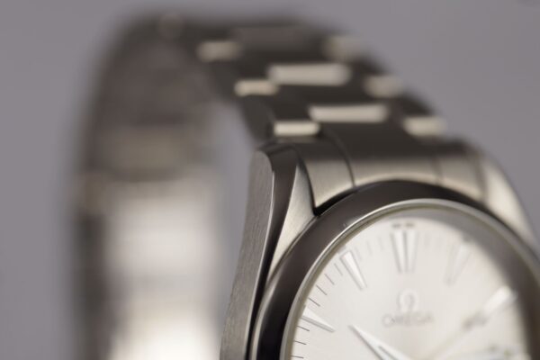 Omega Seamaster Aqua Terra 2518.30 – Image 9