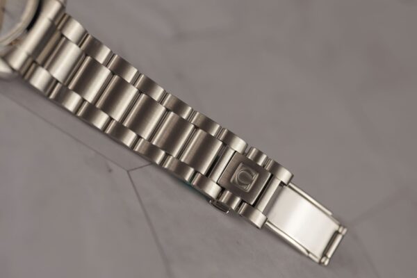 Omega Seamaster Aqua Terra 2518.30 – Image 13