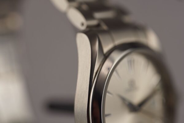 Omega Seamaster Aqua Terra 2518.30 – Image 9