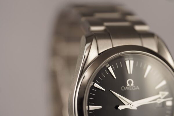 Omega Seamaster Aqua Terra 2518.50 – Image 9