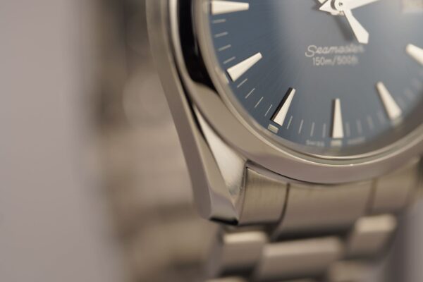 Omega Seamaster Aqua Terra 2518.80 – Image 10