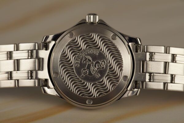 Omega Seamaster 120M 2511.20 – Image 13