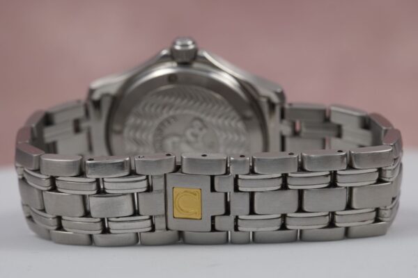 Omega Seamaster 120 M  168.1601 – Image 14